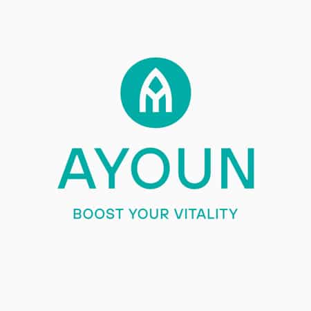 ayoun corporate design 08