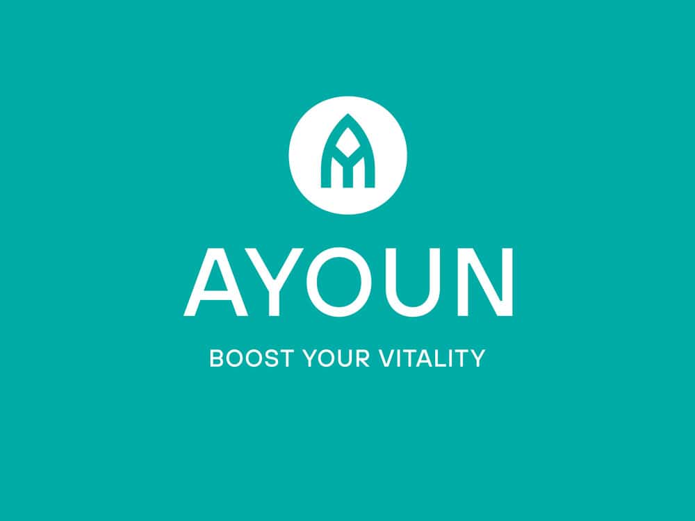 Ayoun Corporate Design