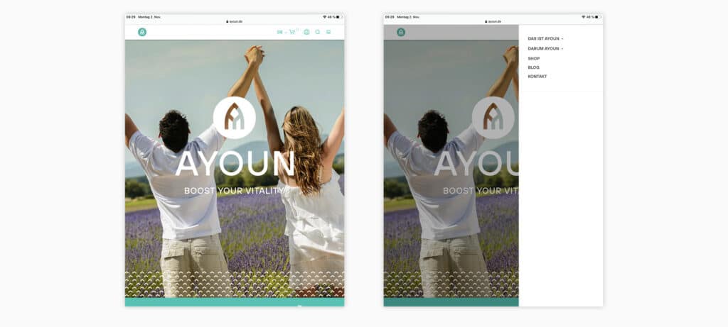 Ayoun responsive Website