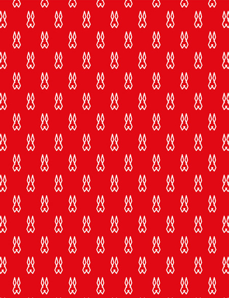 Branding Elektro Haas