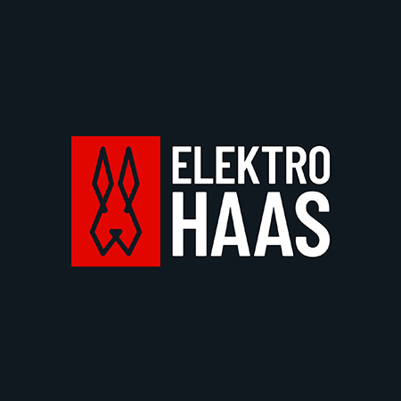 Elektro Haas - Logo Design